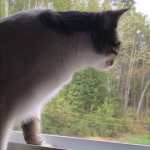 Meet your Posher, Madeline